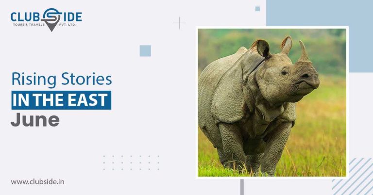 Rising Stories in the East, June 2024