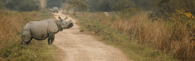 Treasures of North East