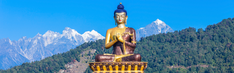 North Bengal and Sikkim Tea tour